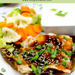 instant pot teriyaki salmon pin