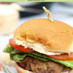 instant pot turkey burger pin