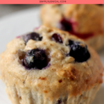 100 calorie blueberry muffins pin