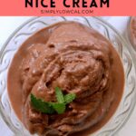 chocolate peanut butter nice cream pin.