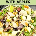 healthy chicken salad with apples pin.