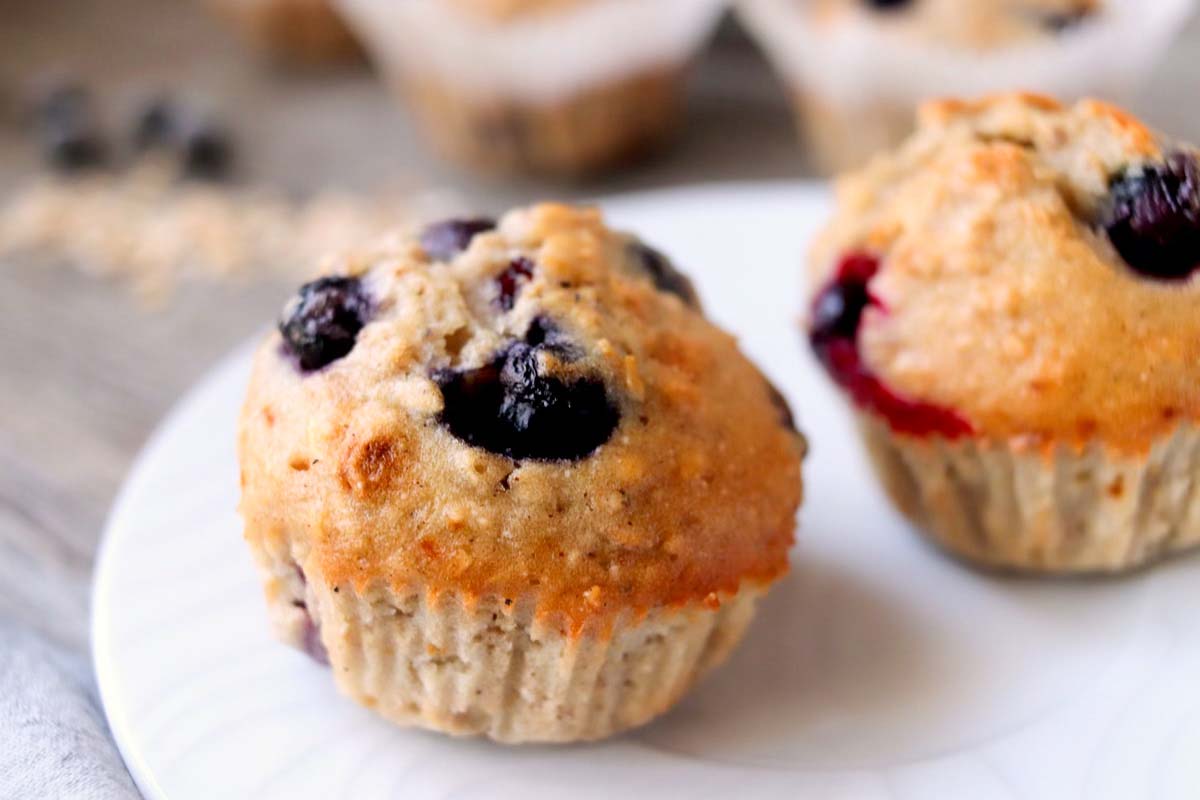 A blueberry muffin on a white plate.