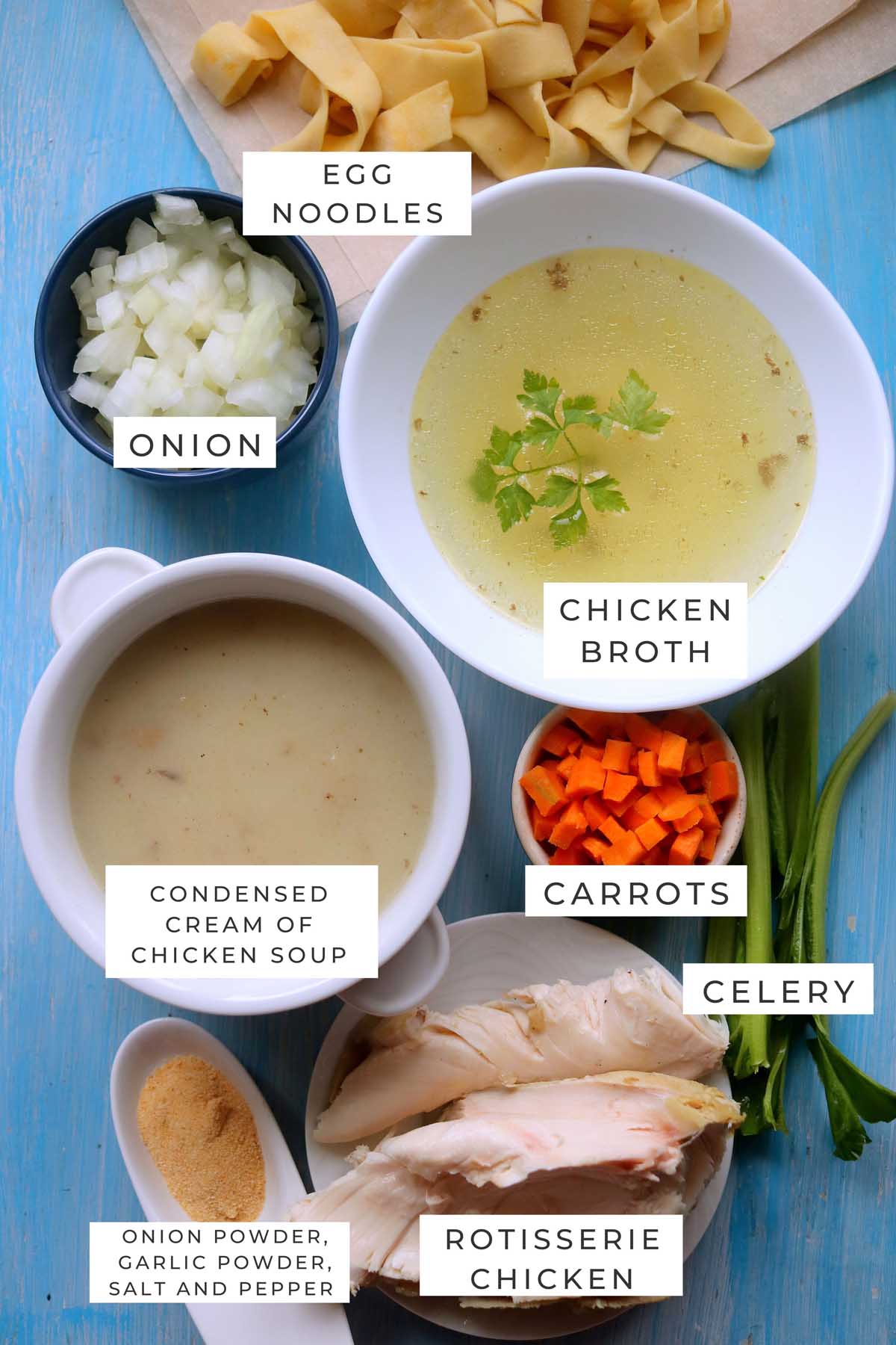 chicken noodle soup labeled ingredients.