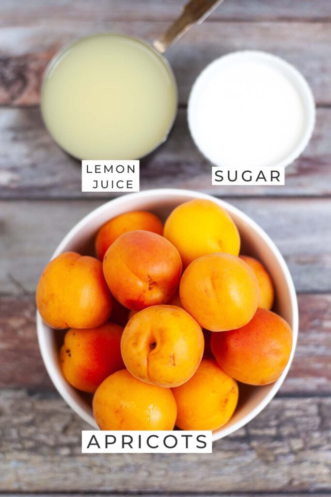 Dehydrated Apricots Simply Low Cal