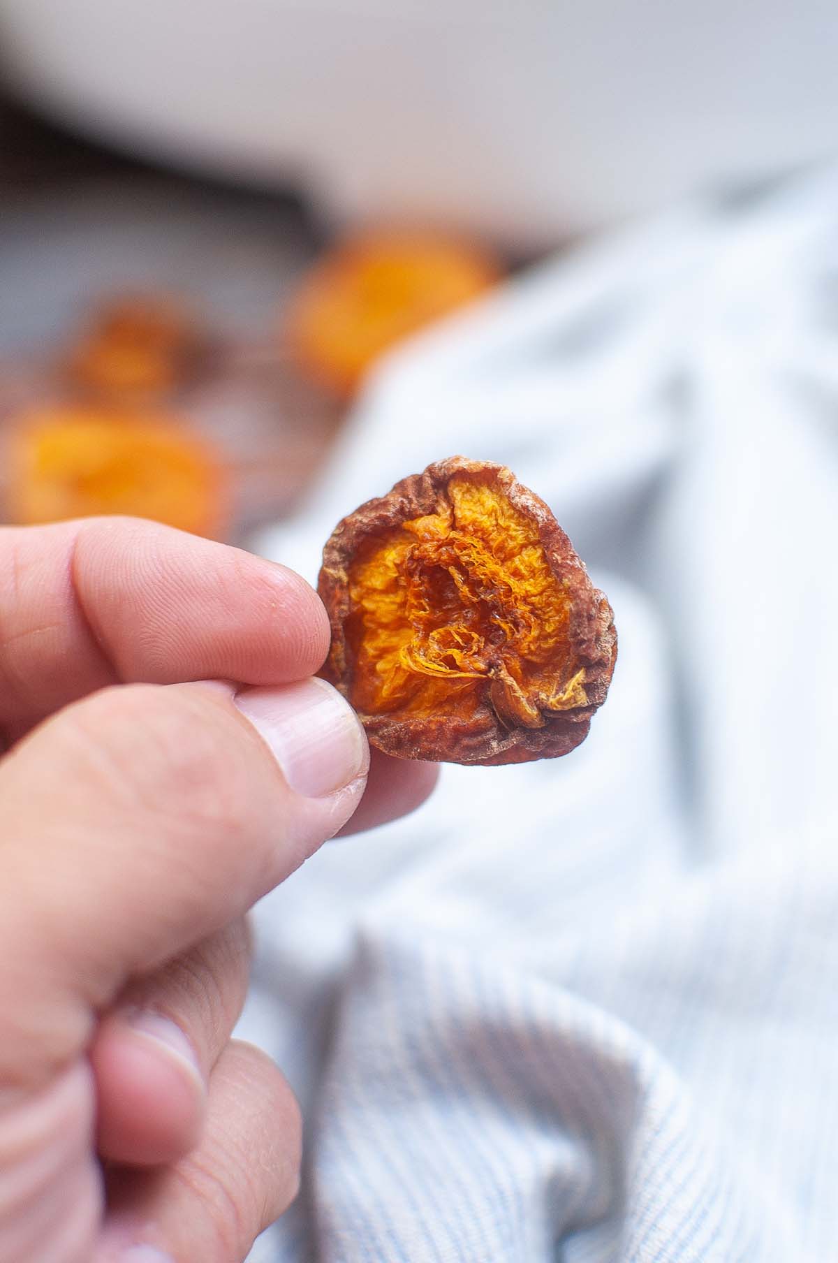 Hand holding a piece of dried apricot.