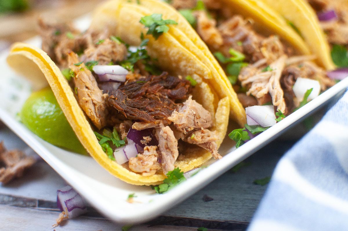 Carnitas taco on a white plate.