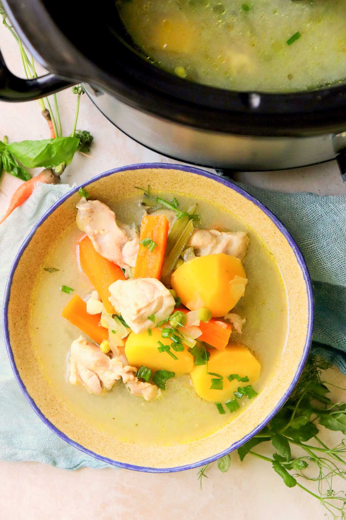 Stew in a bowl next to the Crock Pot.