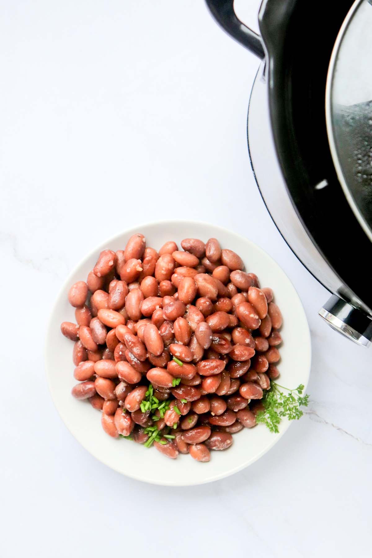 Pinto beans on a white plate.