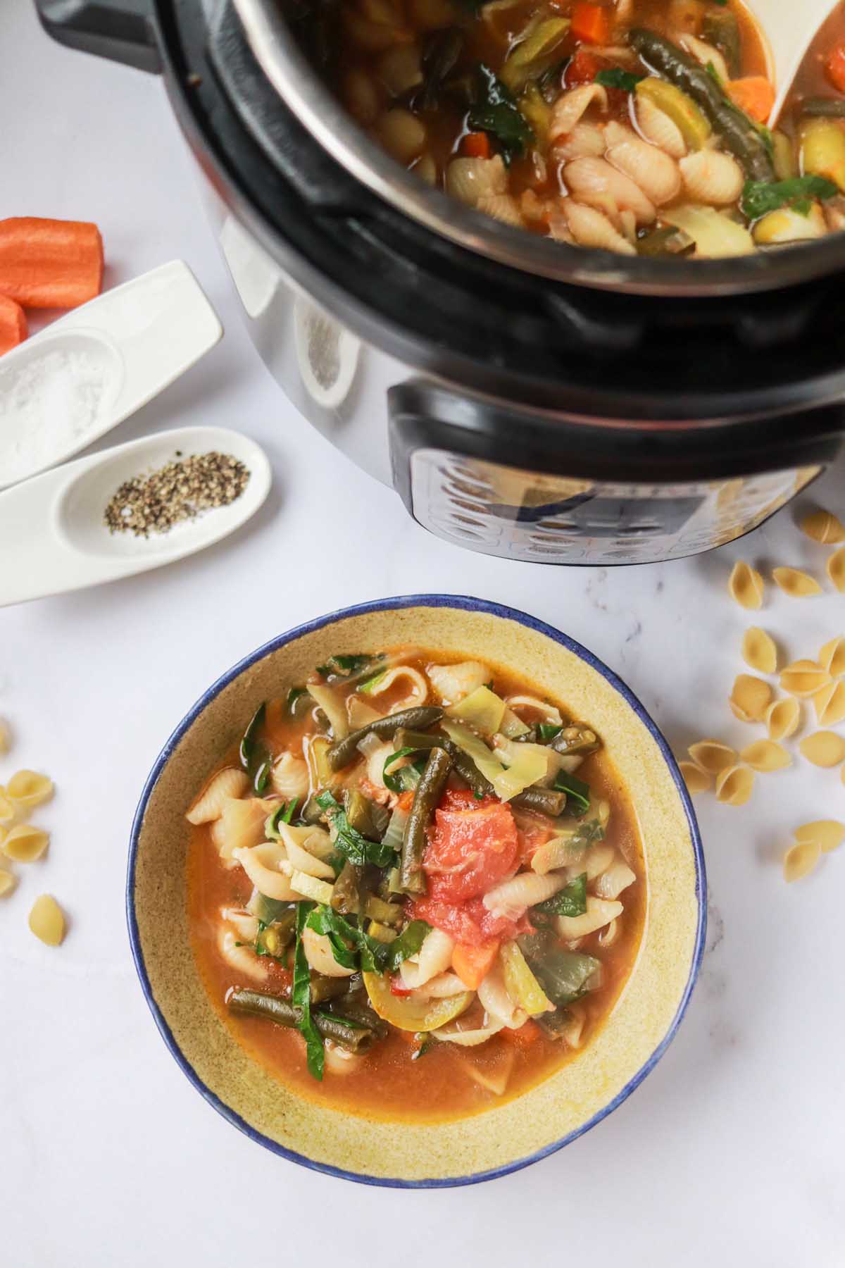 Vegetable soup in bowl next to the instant Pot.