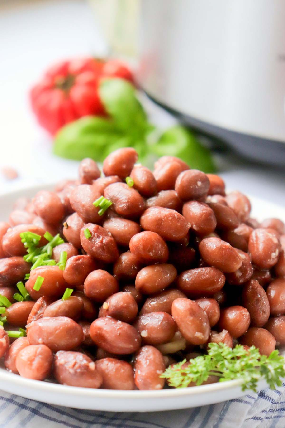 Cooked pinto beans on a plate.