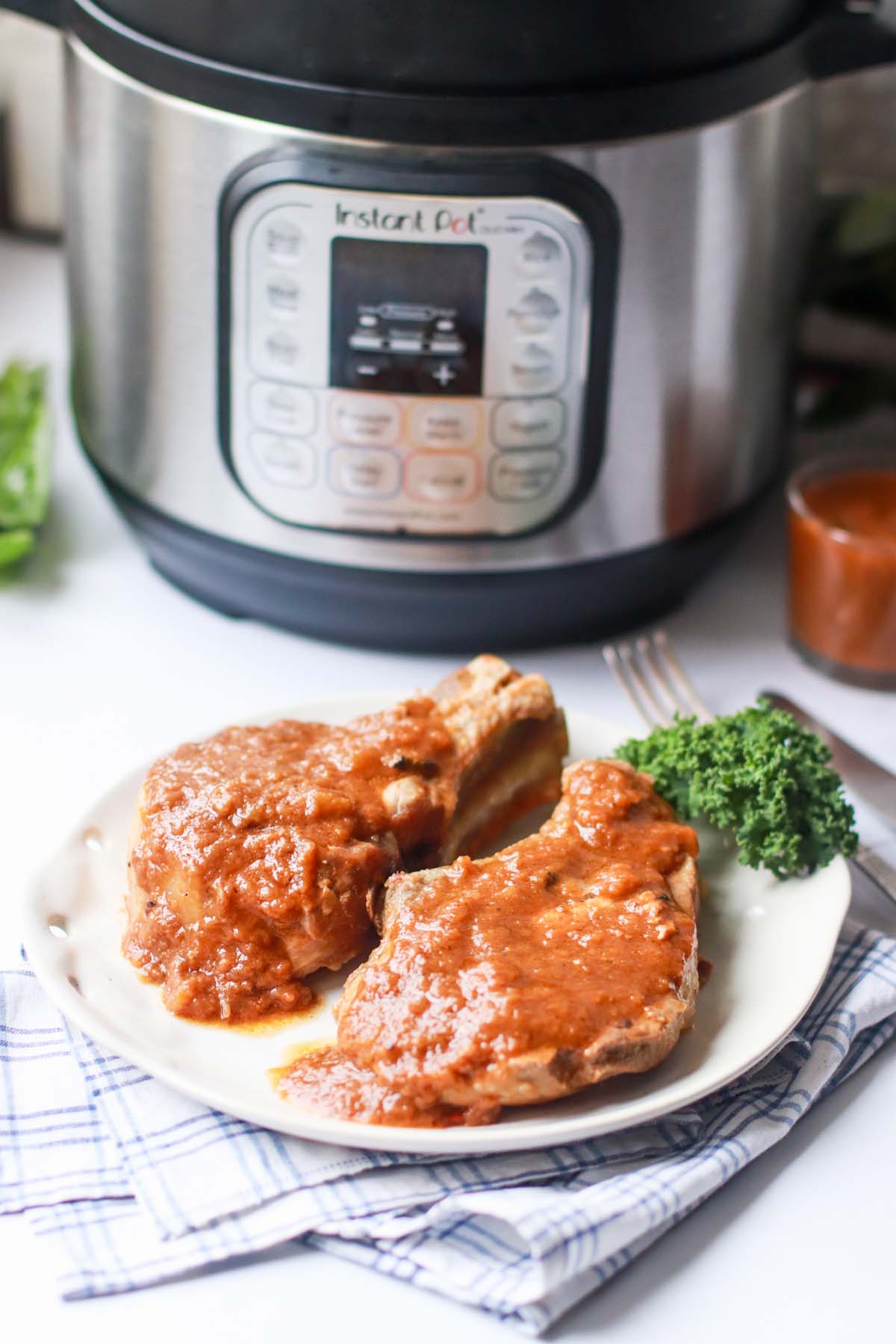 Pork chops on a plate in front of the Instant Pot.
