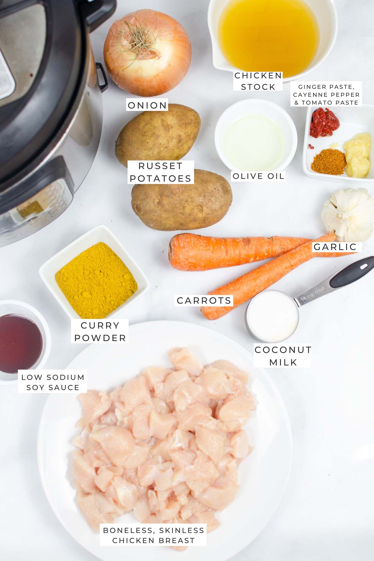 instant pot chicken curry labeled ingredients.