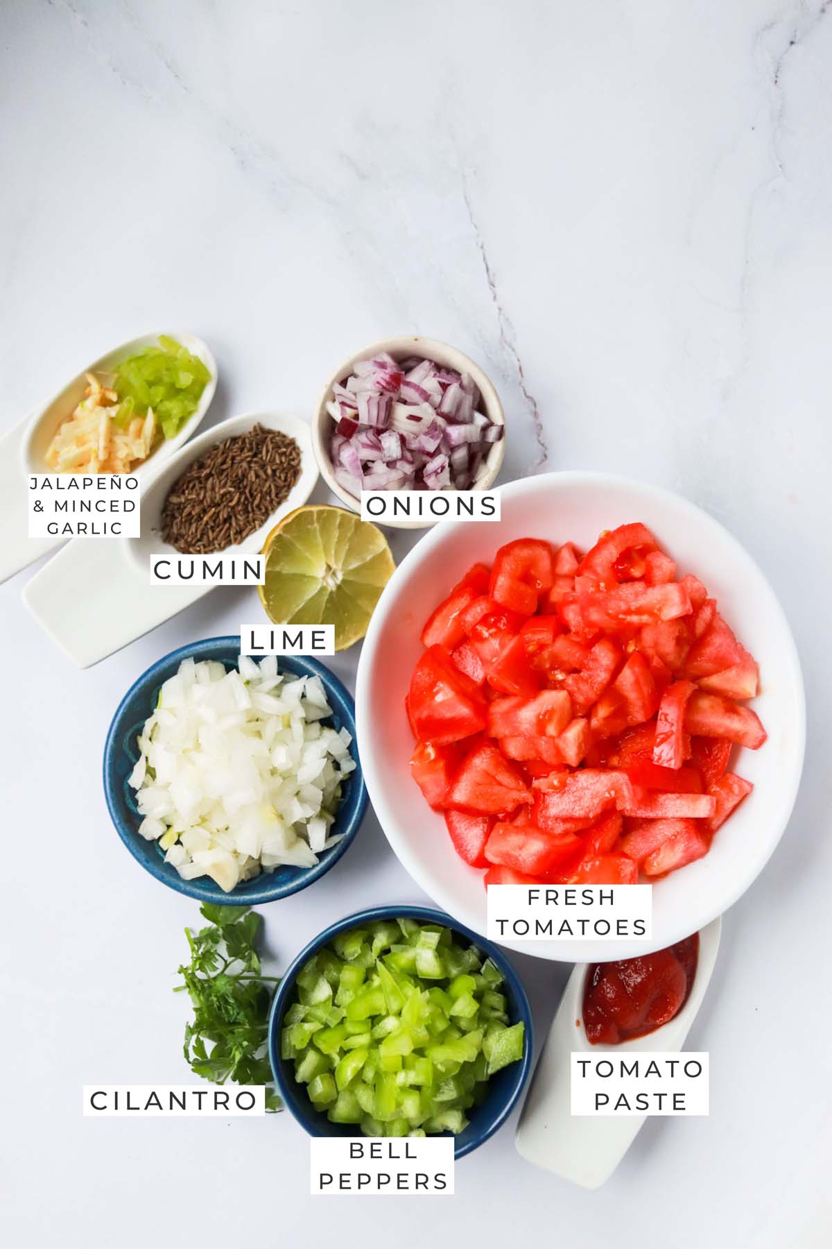 Labeled ingredients for the salsa.