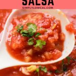 instant pot salsa pin.