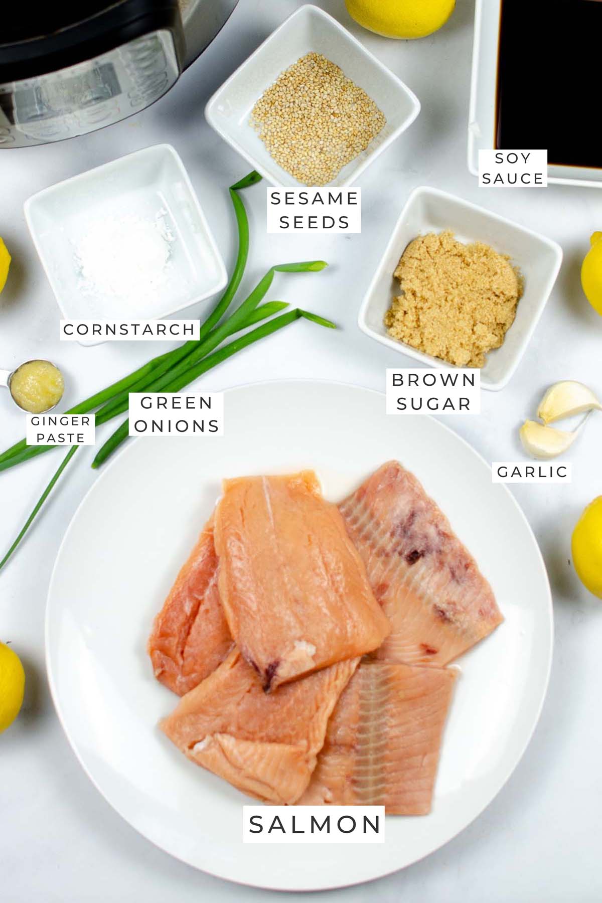 Labeled ingredients for the teriyaki salmon.