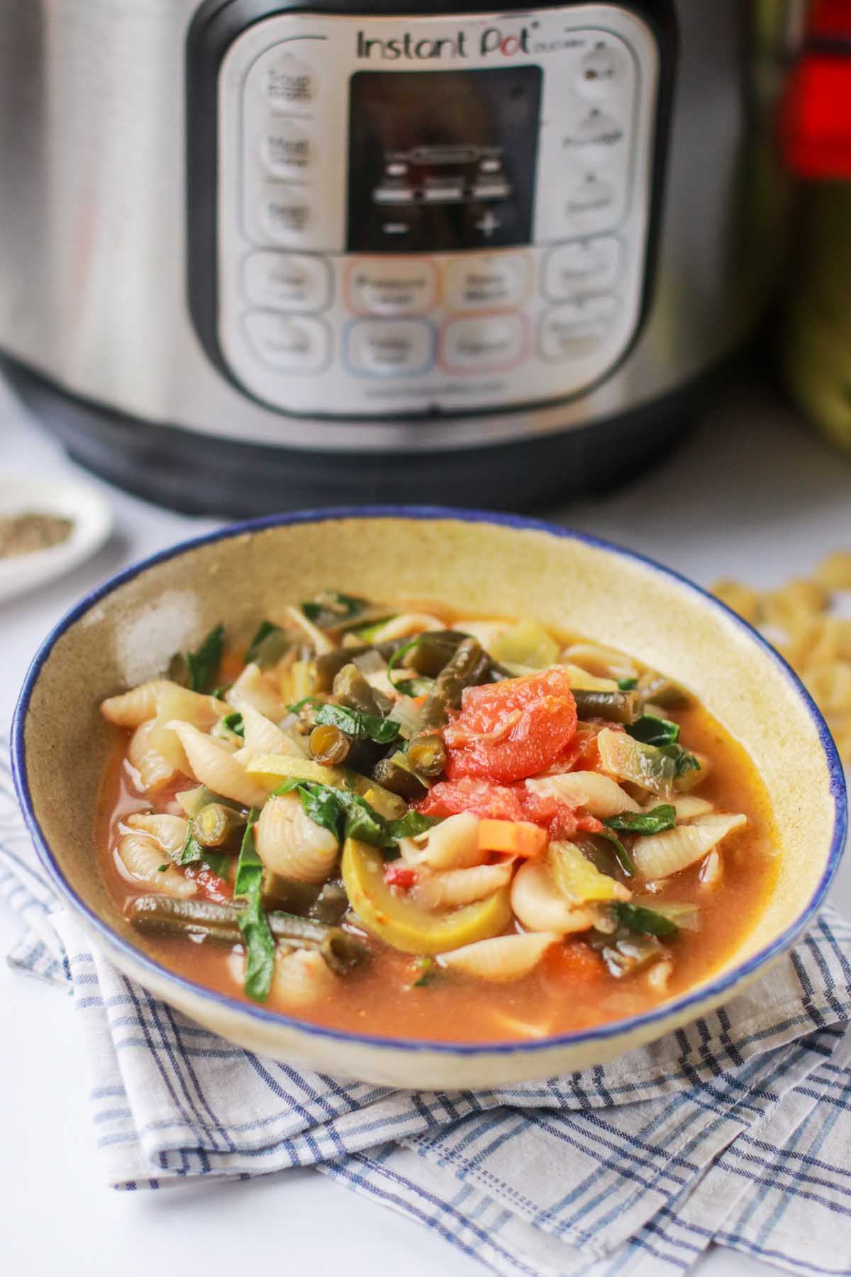 vegetable soup on a bowl in front of the Instant Pot.