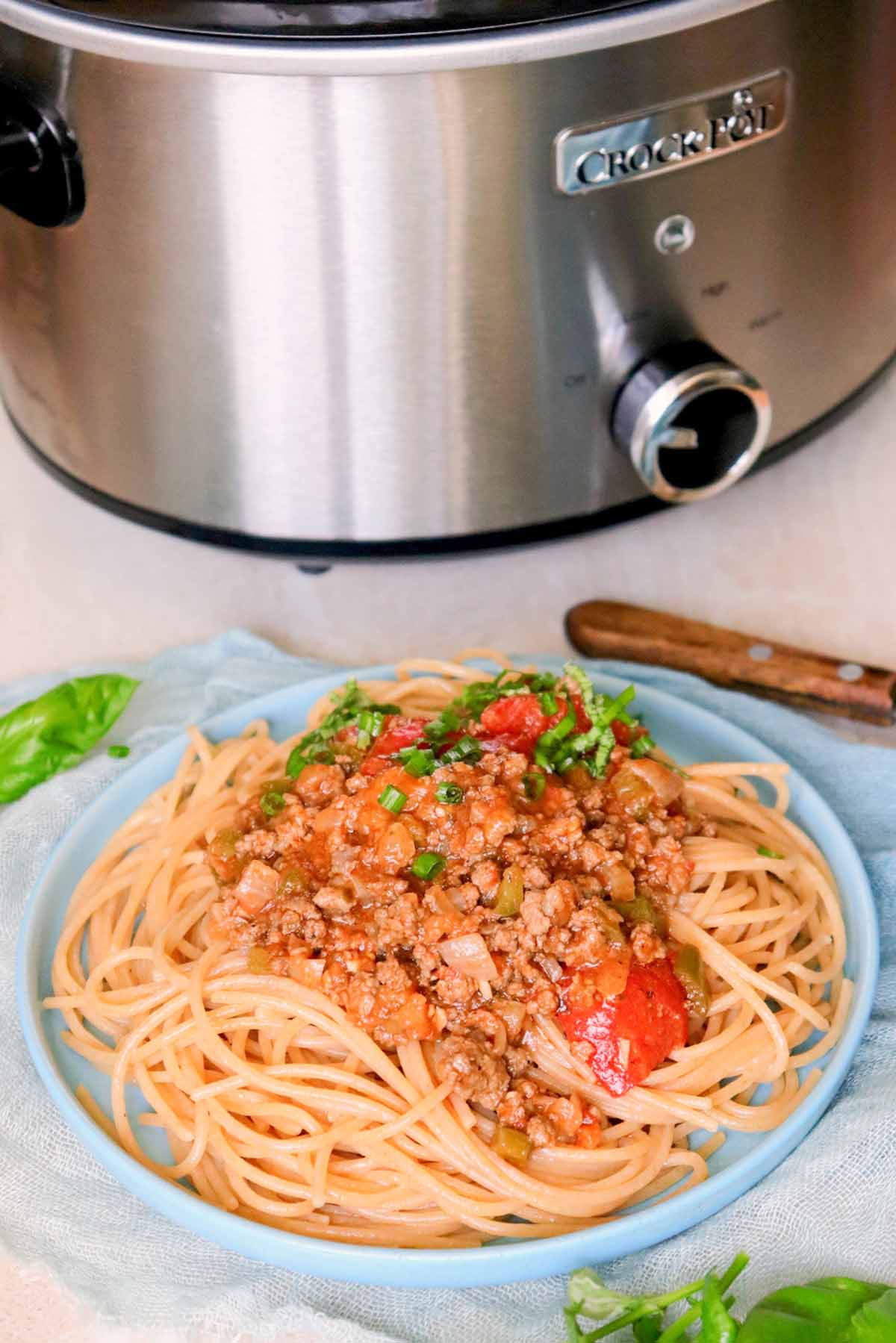 Plate of spaghetti in front of the Crock Pot.