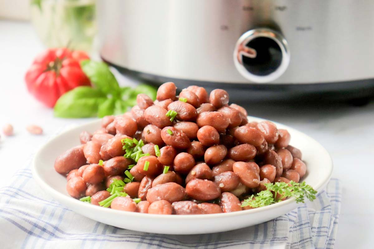 Pinto beans on a plate in front of the Crock Pot.
