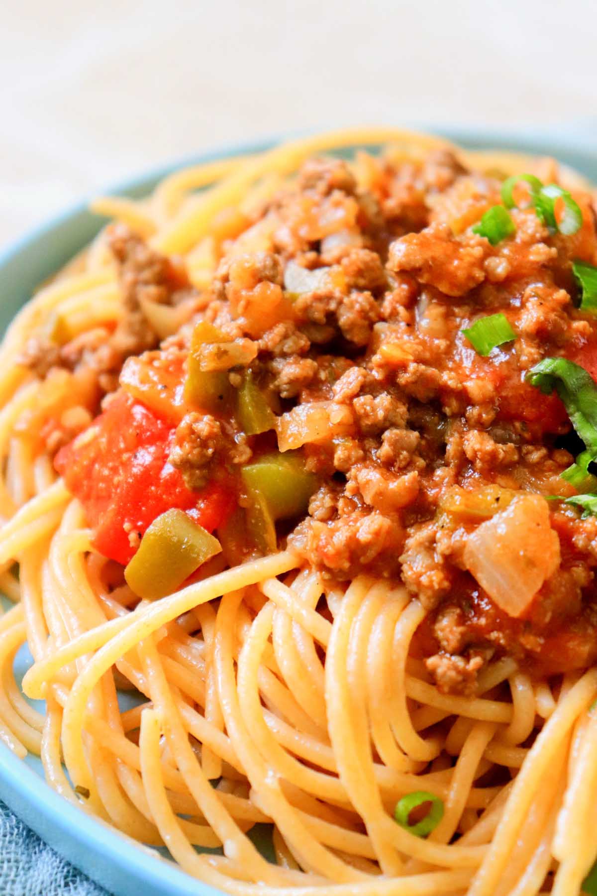 close up view of spaghetti on a plate.