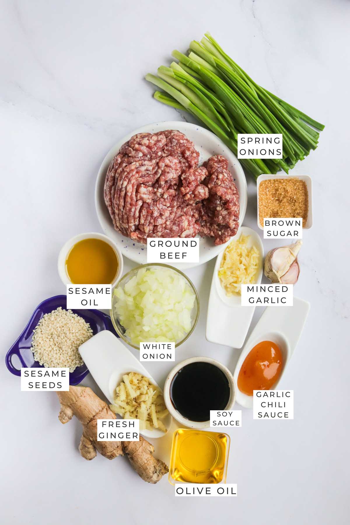 Labeled ingredients for the beef.