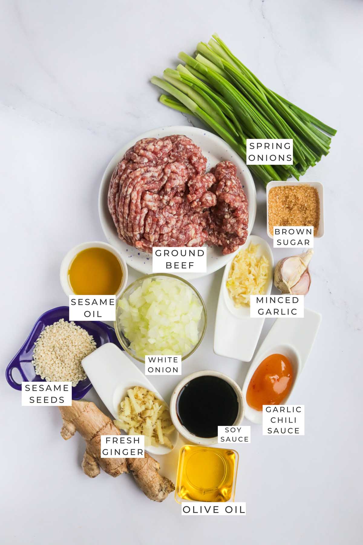Instant Pot Asian been labeled ingredients.