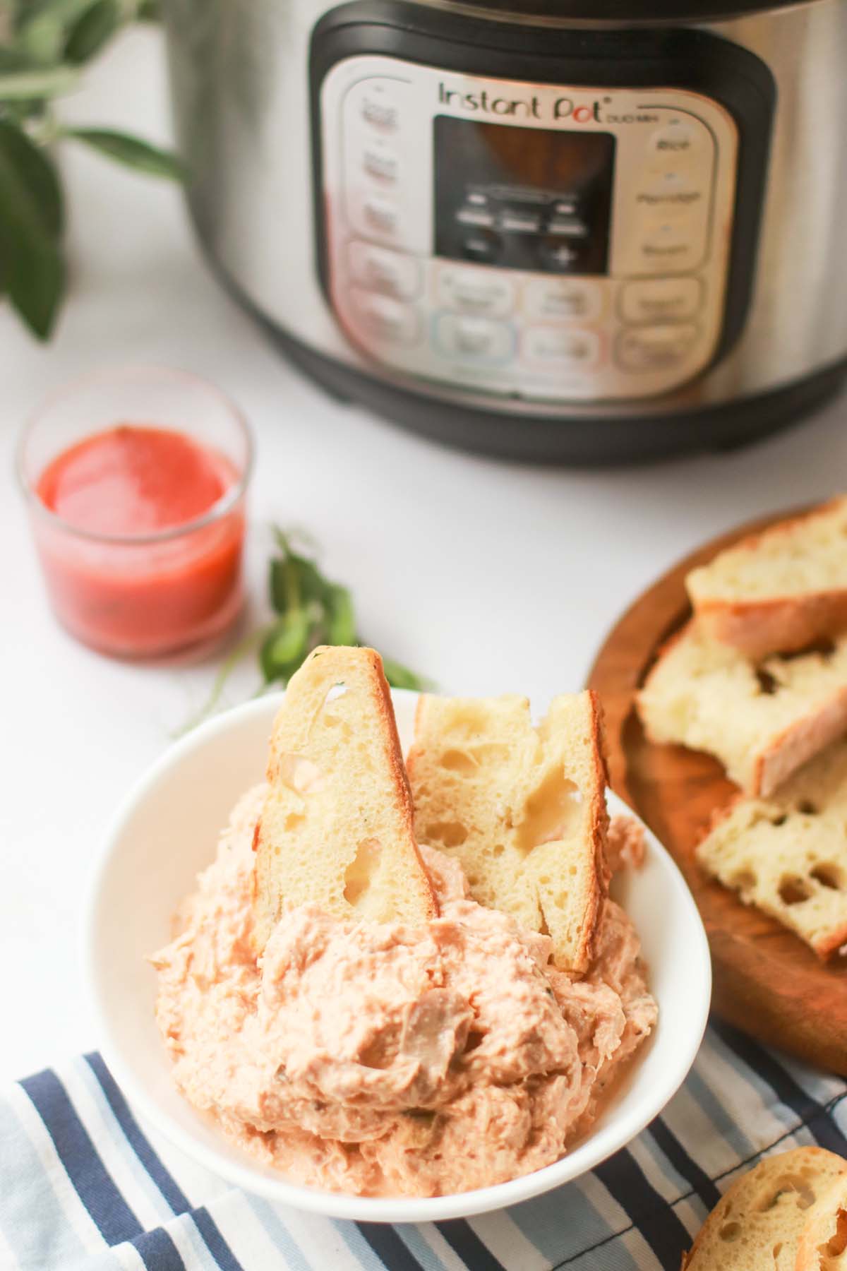 Bowl of chicken dip in front of the Instant Pot.