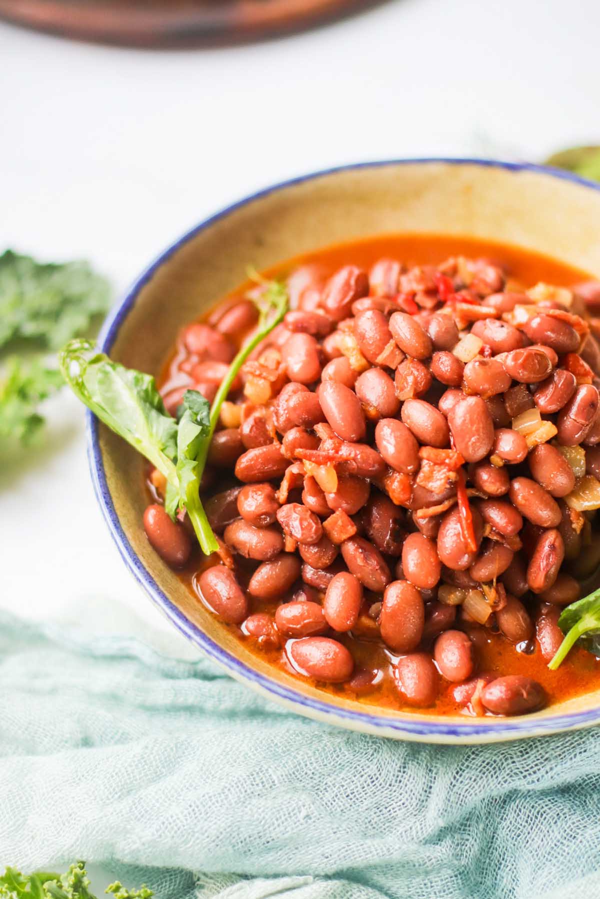 Beans in a bowl with liquid.