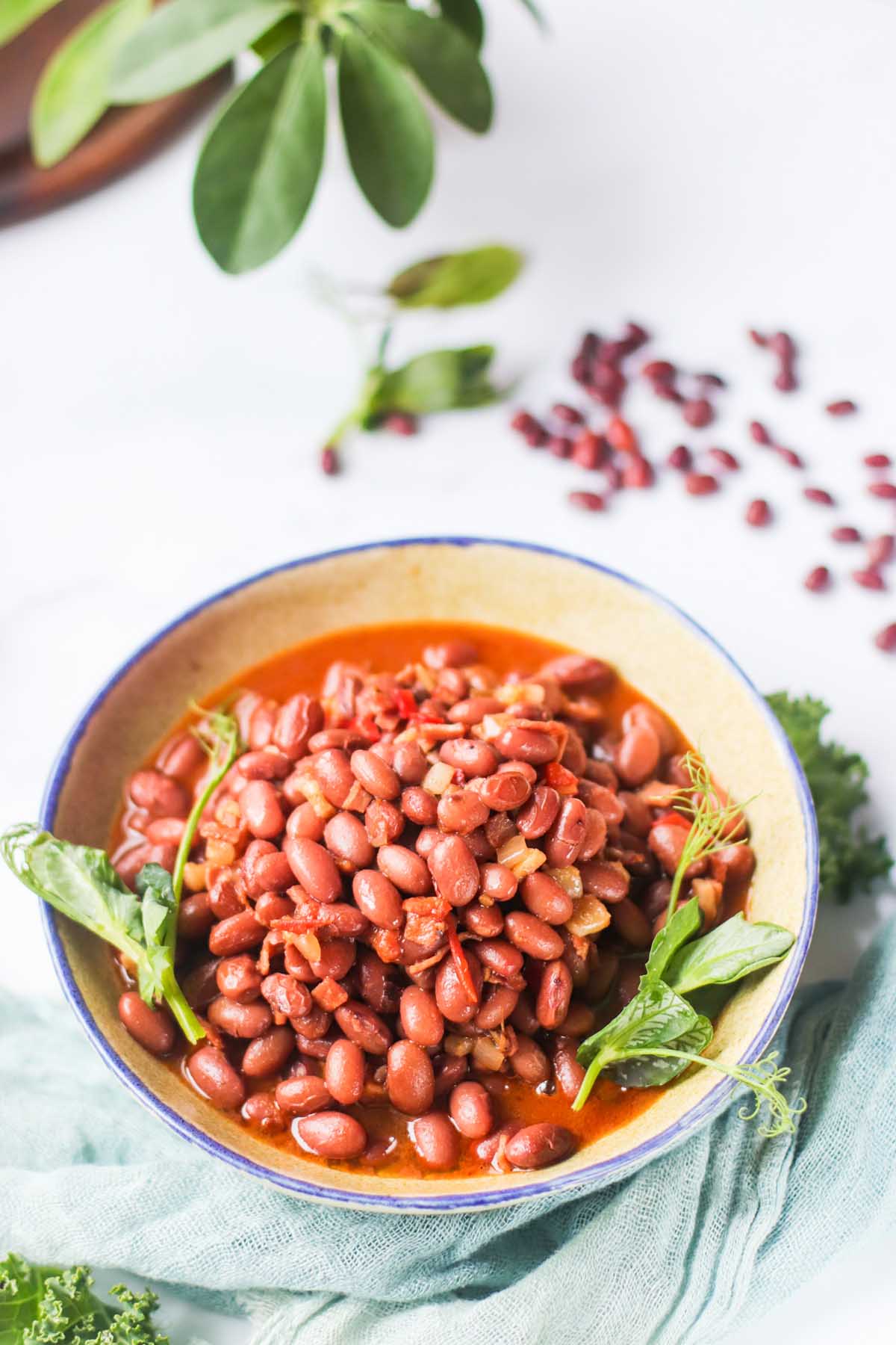 Cooked pinto beans in a bowl.