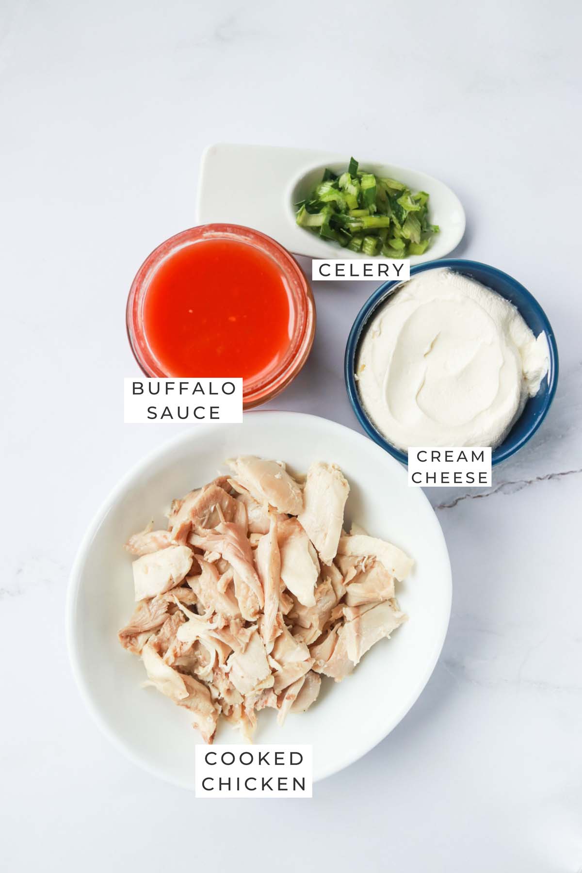 Instant Pot buffalo chicken dip labeled ingredients.