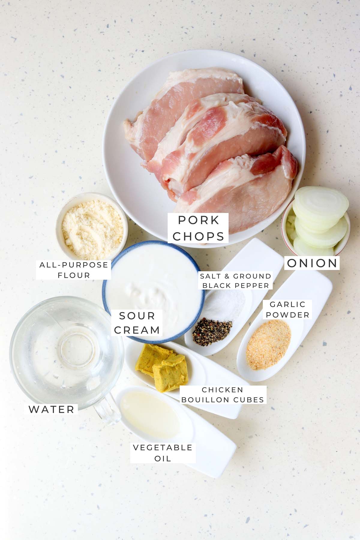 slow cooker sour cream pork chops labeled ingredients.