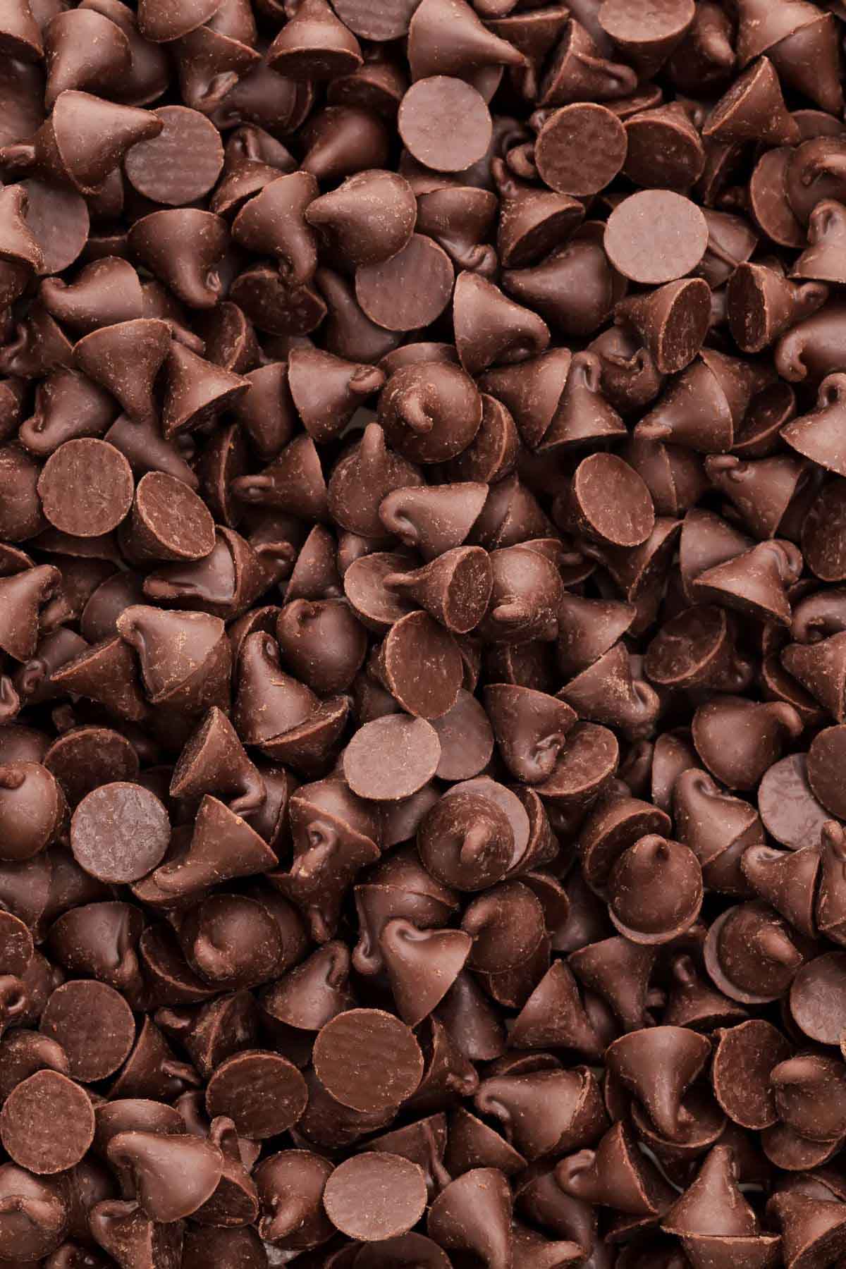 Chocolate chips.