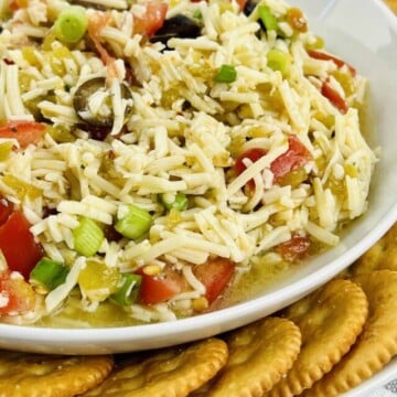 Cheese dip in a bowl with crackers on the side.