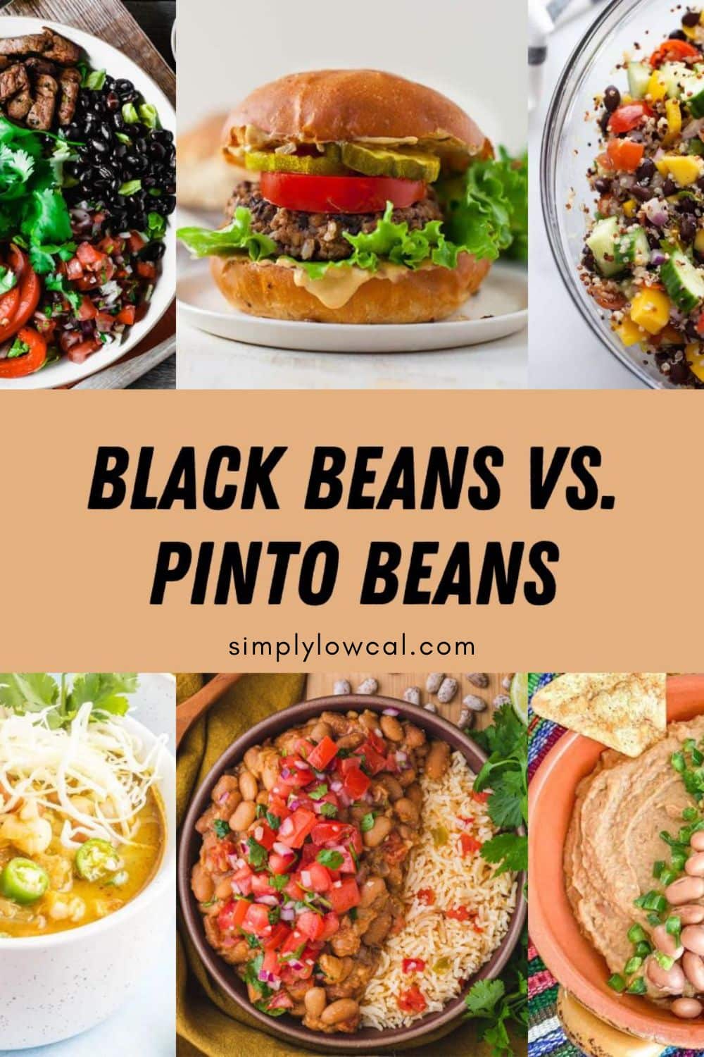 Pinterest pin of black beans vs pinto beans.