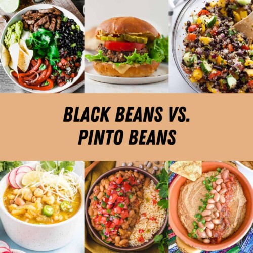 Black Beans VS. Pinto Beans Simply Low Cal