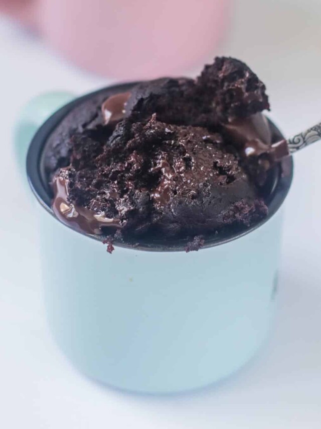 Low Calorie Mug Cake Story