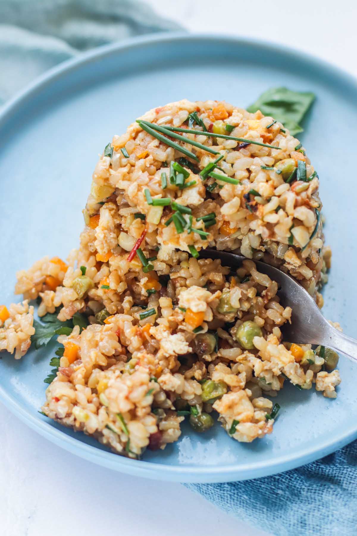 A scoop of fried rice on a plate.