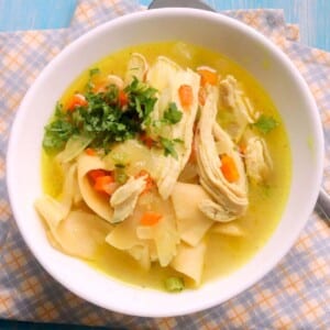 Thumbnail of low calorie chicken noodle soup.