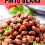 Pinterest pin of low calorie pinto beans recipe.