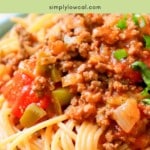 Pinterest pin of low calorie spaghetti sauce.