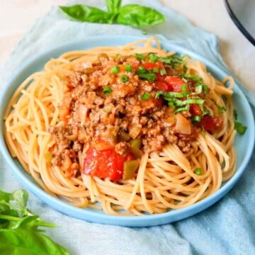 Thumbnail of low calorie spaghetti sauce.