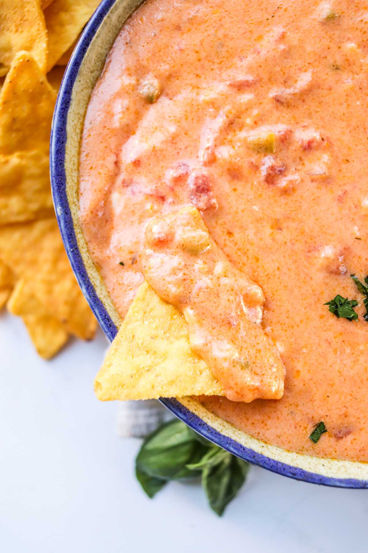 A chip dipped in a bowl of queso.