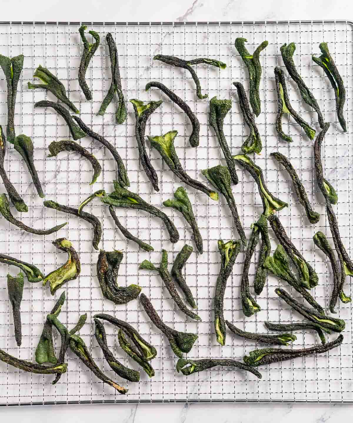 Dehydrated jalapeños on a dehydrator rack